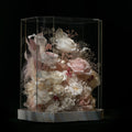 BESIDE Crystal Garden Pearl Ivory White Preserved Flower Terrarium Wedding Gift