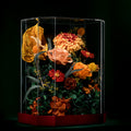 Crystal Garden – Harvest